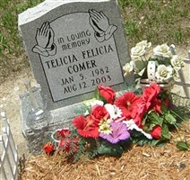 Telicia Felicia Comer