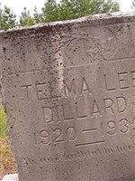 Telma Lee Dillard Telma Lee Dillard
