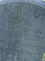 Temperance "Tempy" Matthews Dixon
