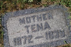 Tena Harms