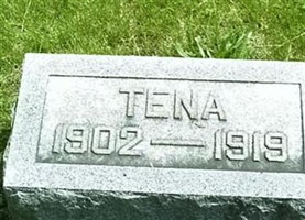 Tena M. Wiltfang