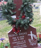 Teodor Biroas