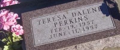 Teresa Dalene Perkins Teresa Dalene Perkins