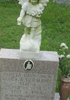 Teresa Dian Elrod