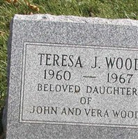 Teresa J. Wood