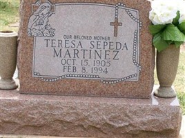 Teresa Sepeda Martinez Teresa Sepeda Martinez