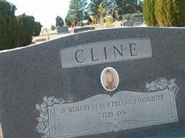 Teri Lyn Cline Teri Lyn Cline