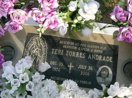 Teri Torres Andrade