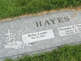 Terrence E "Terry" Hayes