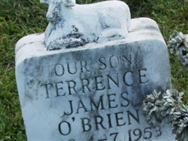 Terrence James O'Brien (2073398.jpg)