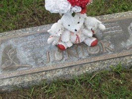 Terrence Junior