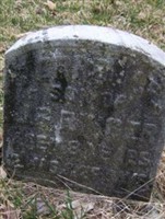 Terrence Ringer