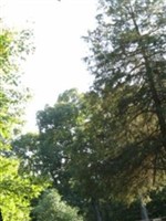 Terrill Cemetery