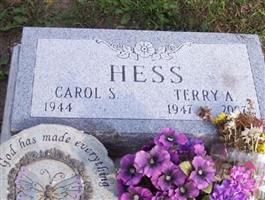 Terry A. Hess