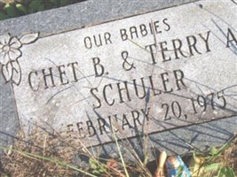 Terry A. Schuler