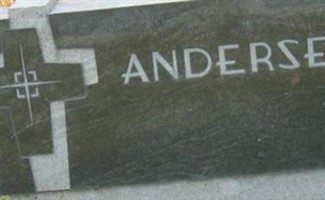Terry C Andersen