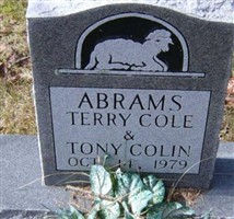 Terry Cole Abrams