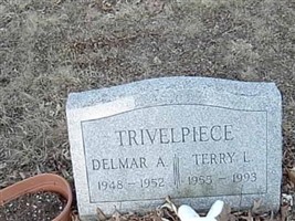 Terry L Trivelpiece
