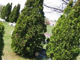 Tessie A. Hunt Woodman