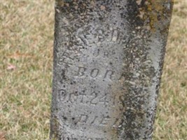 Tessie B. DeLoach, Jr Tessie B. DeLoach, Jr