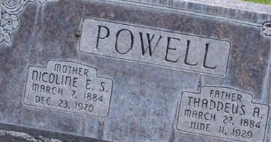 Thaddeus A Powell