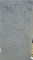 Thaddeus A. Watson Thaddeus A. Watson
