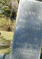 Thaddeus Edward Herrington Thaddeus Edward Herrington