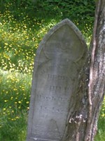 Thaddeus Howe Brown Thaddeus Howe Brown