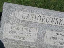 Thaddeus L Gasiorowski Thaddeus L Gasiorowski