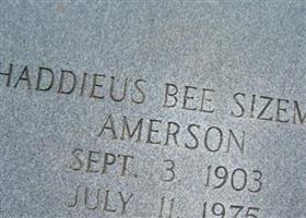 Carrie Tommie Thaddieus Bee "Thaddie Bee" Sizemore Byrd Amerson