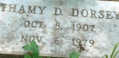 Thamy Dorsey