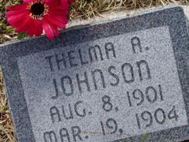 Thelma Ann Johnson