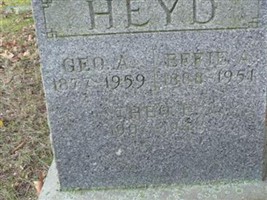 Theo J Heyd
