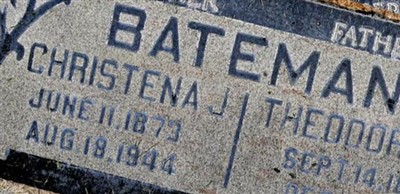Theodore A Bateman