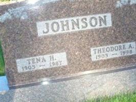 Theodore A. Johnson
