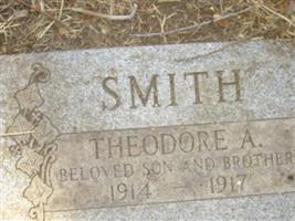 Theodore A Smith