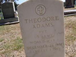 Theodore Adams