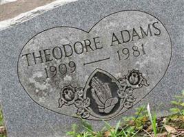 Theodore Adams