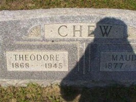 Theodore Chew