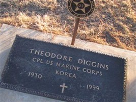 Theodore Diggins Theodore Diggins