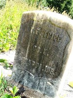 Theodore F. Tripp
