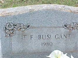Theodore Floyd (Bus) Gant Theodore Floyd (Bus) Gant