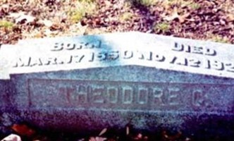 Theodore G. Link