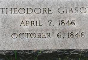 Theodore Gibson