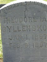 Theodore Ian Gyllenskog Theodore Ian Gyllenskog