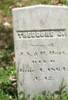 Theodore J Hart