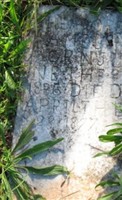 Theodore J Samuels