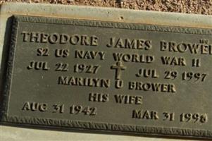 Theodore James Brower