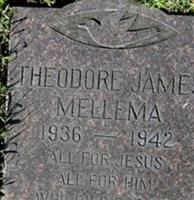 Theodore James Mellema