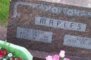 Theodore Maples Theodore Maples